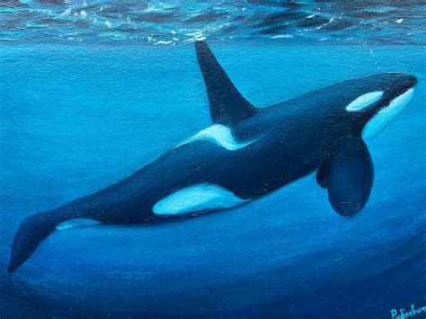 Killer Whale Oil Painting - Etsy