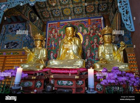 Busan South Korea May 30 2023 Beomeosa Temple Is A Buddhist Temple