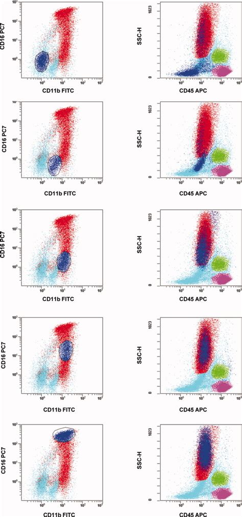 Four And Fivecolor Flow Cytometry Analysis Of Leukocyte