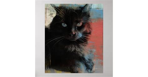 Americana Black Cat Folk Art Poster Zazzle