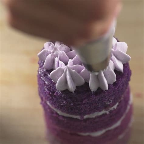 36 Naked Petit Fours Ideas Mini Cakes Cupcake Cakes Cake Decorating