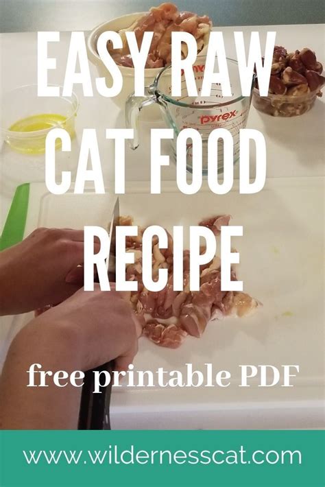 How To Make Raw Cat Food 11 Hacks To Make It Easy Raw Cat Food Recipes Homemade Cat Food