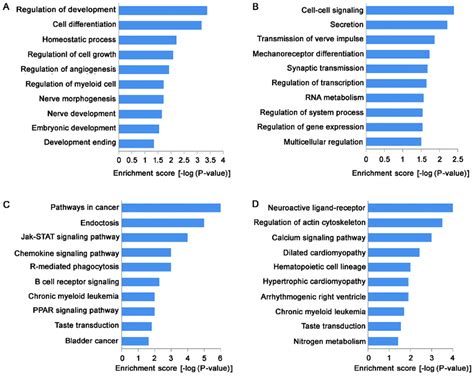 Go And Pathway Analysis The Top 10 Go Terms That Were Associated With