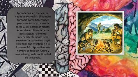 Neurociencia Ppt