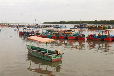 Excursión A Tumbes Desde Punta Sal Reserva En