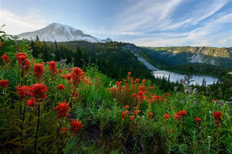 7 Phenomenal National Parks in the Pacific Northwest