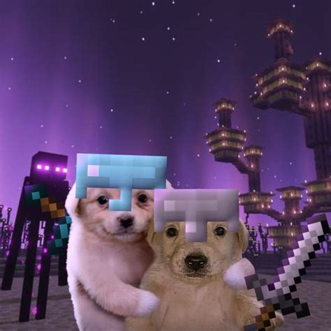 Perros En Minecraft XD Perros De Minecraft Animacion De Minecraft