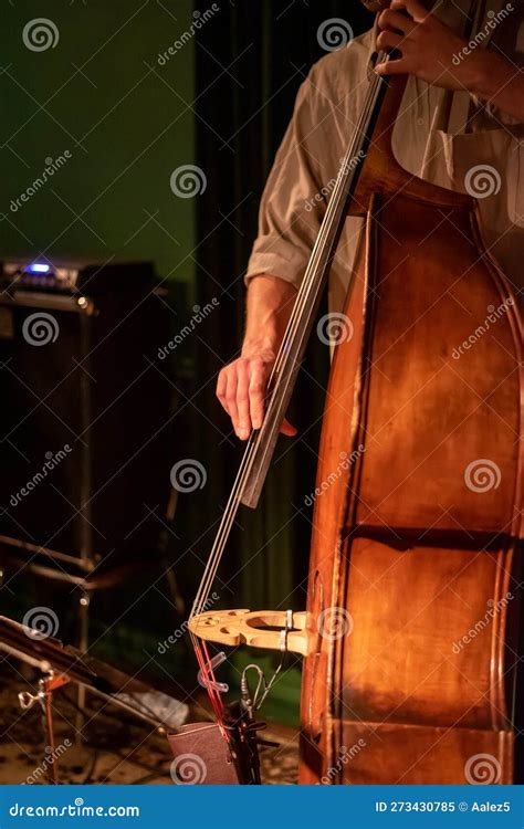 A Bass Player On Stage Playing Upright Bass Jazz Musician At Concert