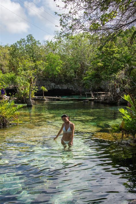 Cenote Azul, Playa del Carmen: A Complete Guide (2024)