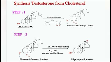 Testosterone Structure