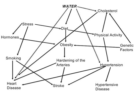 1 Web Of Causation Applied To Cardiovascular Disease Adapted From