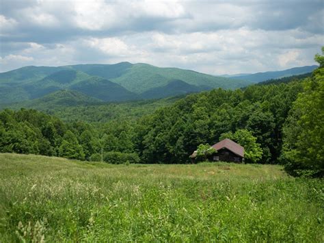 100 Days in Appalachia, Author at Carolina Public Press