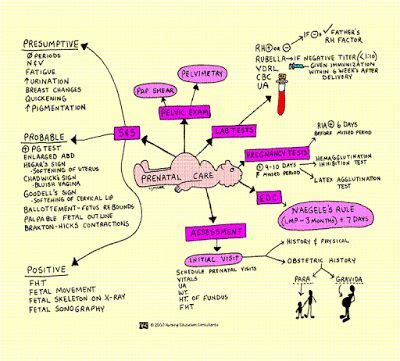 chadwick sign and hegar's sign - Google Search | Nursing mnemonics ...