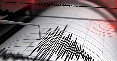 Terremoto De Magnitud 61 Causa Cuatro Heridos Y Daños Materiales En Indonesia