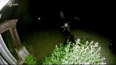 real fairies caught on Camera - YouTube