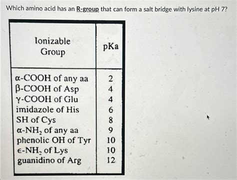 Solved Which amino acid has an R-group that can form a salt | Chegg.com