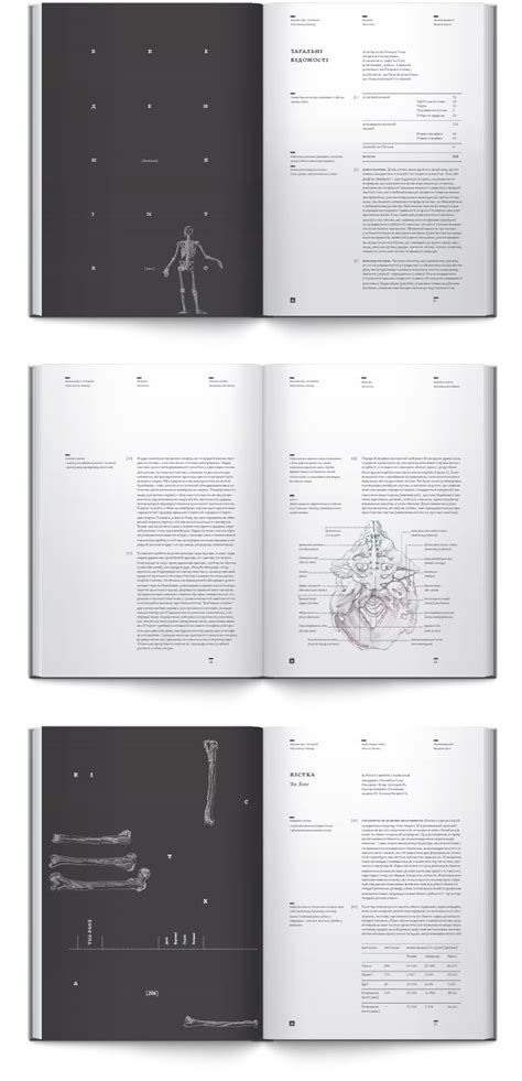 Anatomy book. Osteology by Irene Shkarovska, via Behance | Diseño de ...
