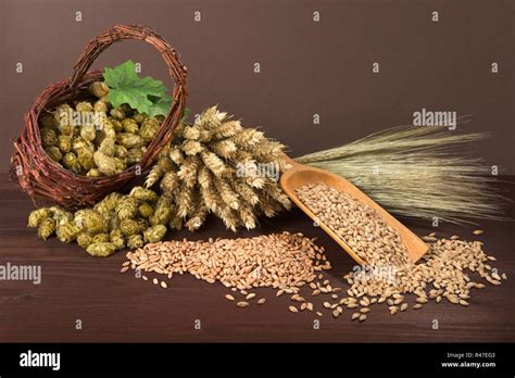 beer ingredients Stock Photo - Alamy