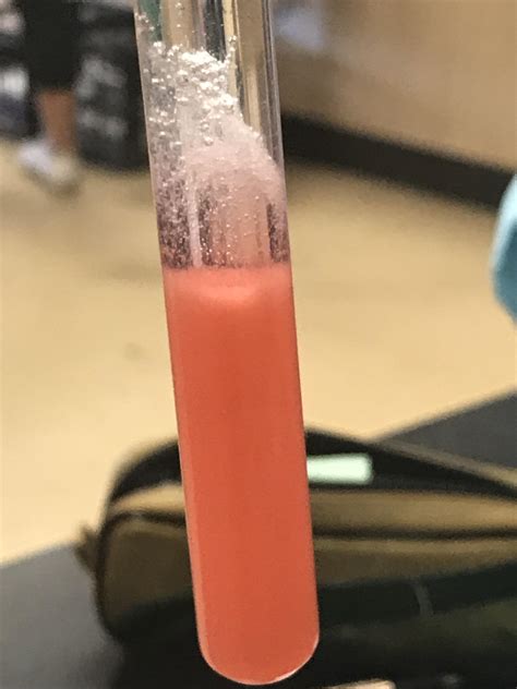 We extracted strawberry DNA today in science class! 🍓 🧬 : r/ScienceImages