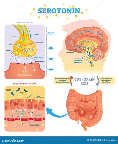 Gut Brain Axis Landscape Poster With Characters Cartoon Vector