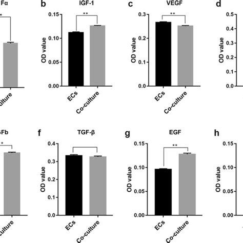 Quantitative Analysis Of Angiogenesis Related Growth Factors In