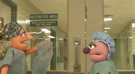 Muppet Surgery Archives Surgery 101