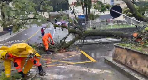 Defesa Civil Registra Ocorr Ncias Por Conta Da Chuva Em Juiz De Fora