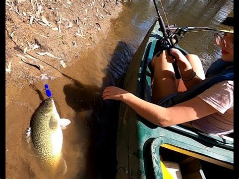 Canoe Trip Murray Cod And Swim With Daughter Youtube