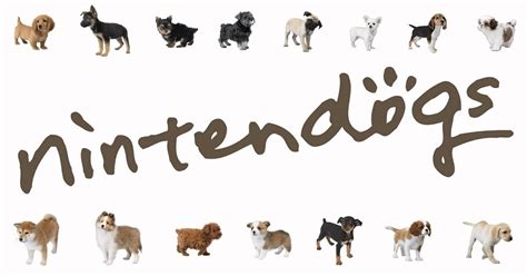 Nintendogs Breeds Quiz Stats - By Jasminewinter140