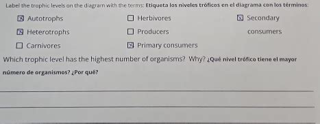 Solved Label The Trophic Levels On The Diagram With The Terms