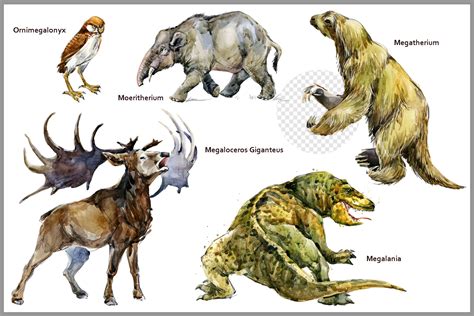 Ice Age Megafauna PNG By Elena Faenkova | TheHungryJPEG