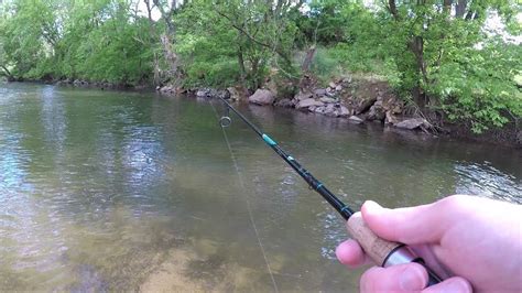 Creek Fishing For Trout Youtube