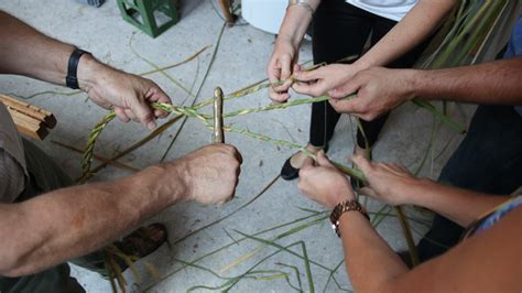 earliest evidence  rope making  sophisticated tool earth logs