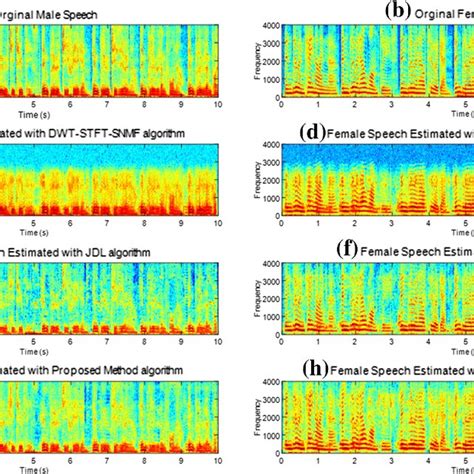 Spectrograms Of The Original Male And Female Speech Signals And The Download Scientific