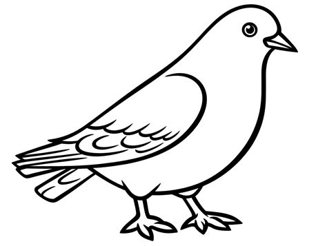 Graceful Dove Coloring - Coloring Page