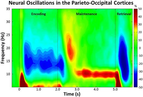 Time Frequency Spectrogram With Time S Shown On The X Axis And