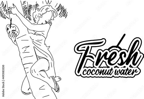 Line Art Illustration Of Sexy Pinup Girl Doing Ad For Fresh Coconut Water Outline Sketch Of