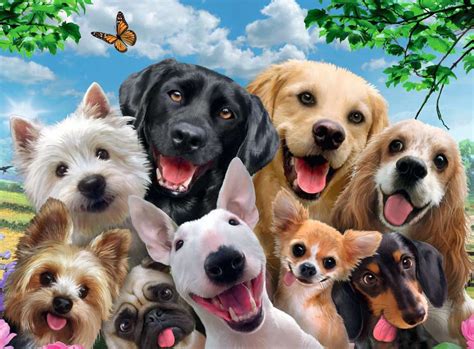 Selfie De Perros Puzzle Infantiles Puzzles Productos Es