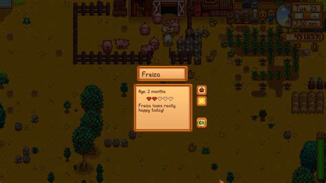 Rabbits Foot R Stardewvalley