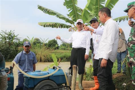 Cek Area Pompanisasi Di Subang Mentan Amran Ini Jawaban Peningkatan