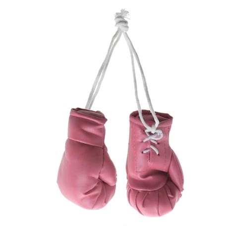 GENEMA Mini 2 Pcs Boxing Gloves Black / Blue/ Pink Boxing Gloves ...