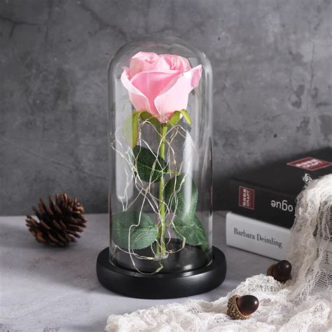 Rose Eternelle Rose Sous Cloche Fleurs Rose Perpetuelle