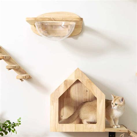 FUKUMARU Cat Wall Furniture Set Transparent Capsule Cat Wall Shelves