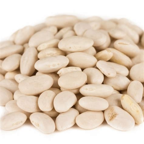 Great Northern Beans | Bulk Nuts 4 You