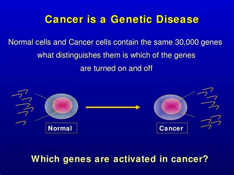 An Overview Of Cancer Genetics