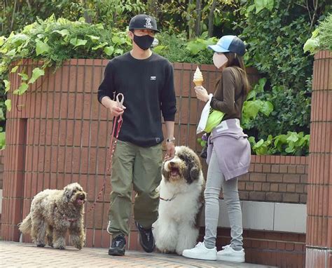 木村拓哉と工藤静香夫妻の愛犬の種類は？お散歩コースはどこ？