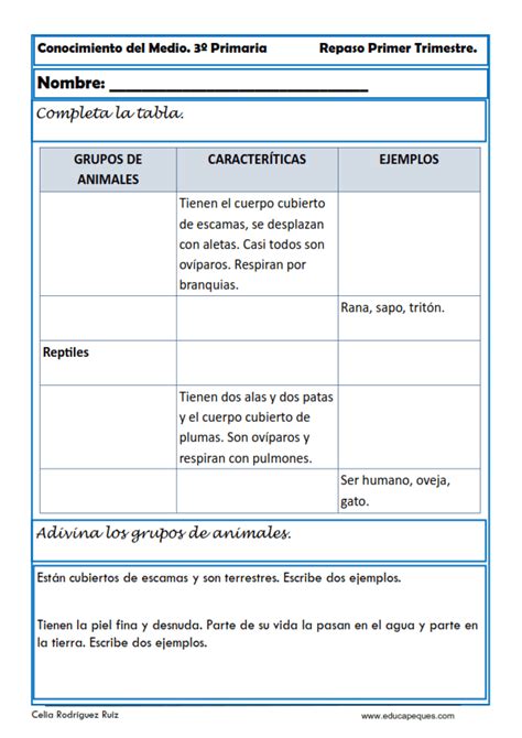 Fichas Conocimiento Del Medio Para Tercero Primaria Cuadernos Images