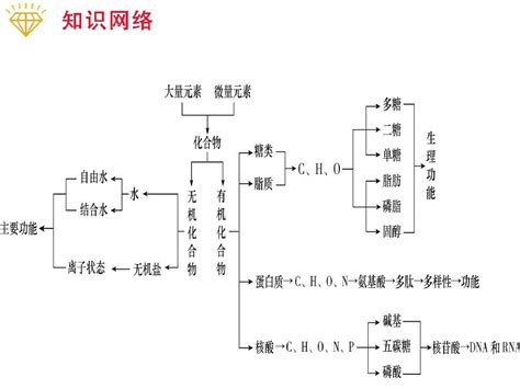 2012届高考生物二轮课件：专题1 细胞的分子组成word文档在线阅读与下载无忧文档