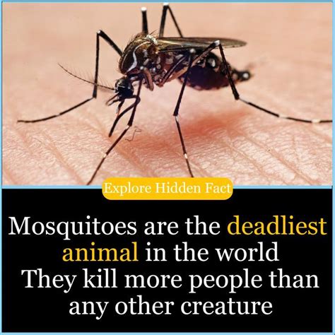 explore hidden fact unknown facts     fact fun