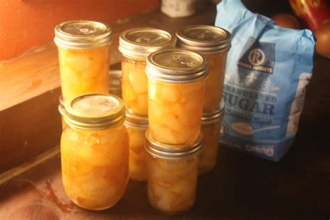 How to Make Preserves | Our Mississippi Home